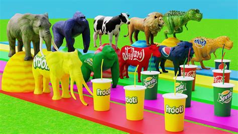 kainpee|Choose Right Drink with Elephant Gorilla Cow Lion Dinosaur.